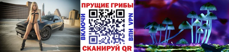 Псилоцибиновые грибы Cubensis Лукоянов